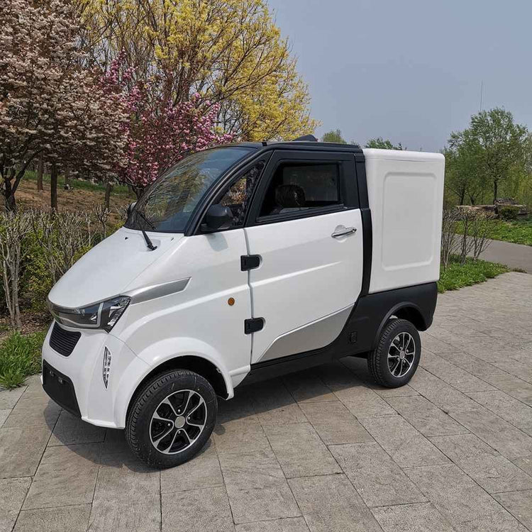 new electric vehicles wholesale price