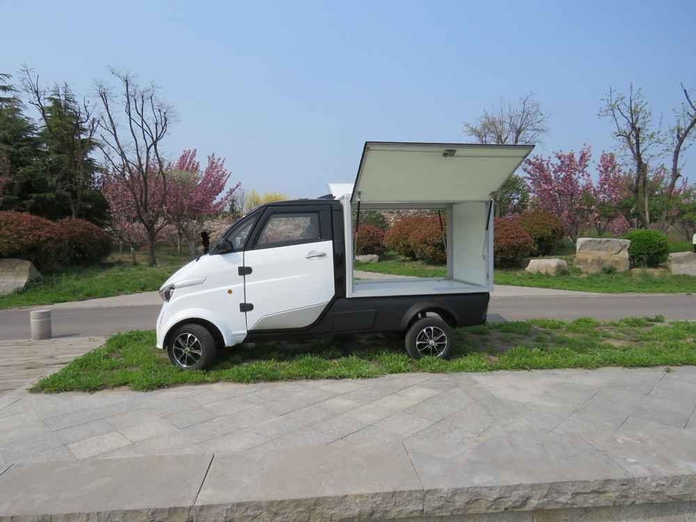 best electric vehicle for the price wholesale price