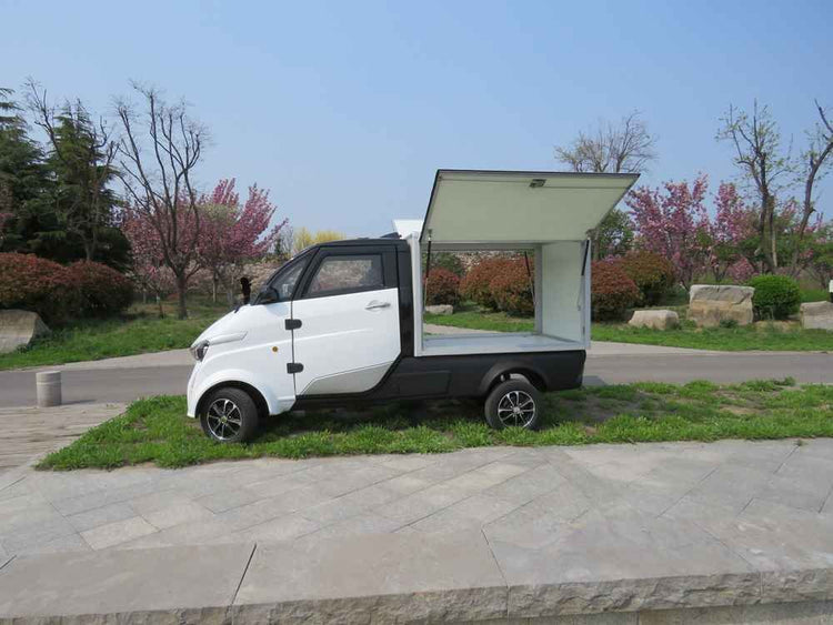 best electric vehicle for the price wholesale price