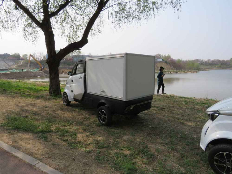 electric car company new wholesale price