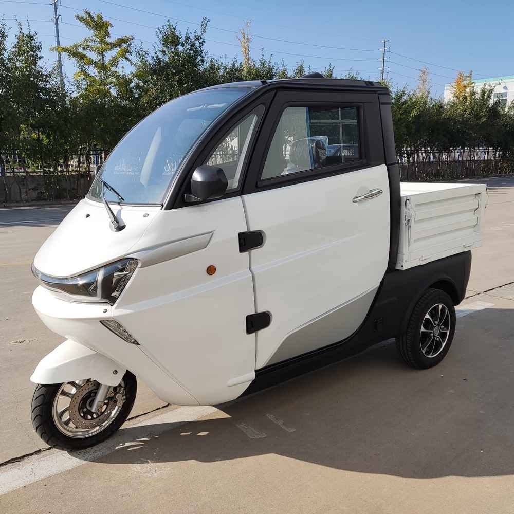 best electric car to buy wholesale price