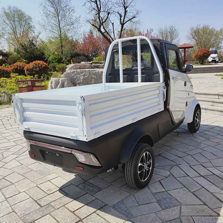 electric car eco wholesale price