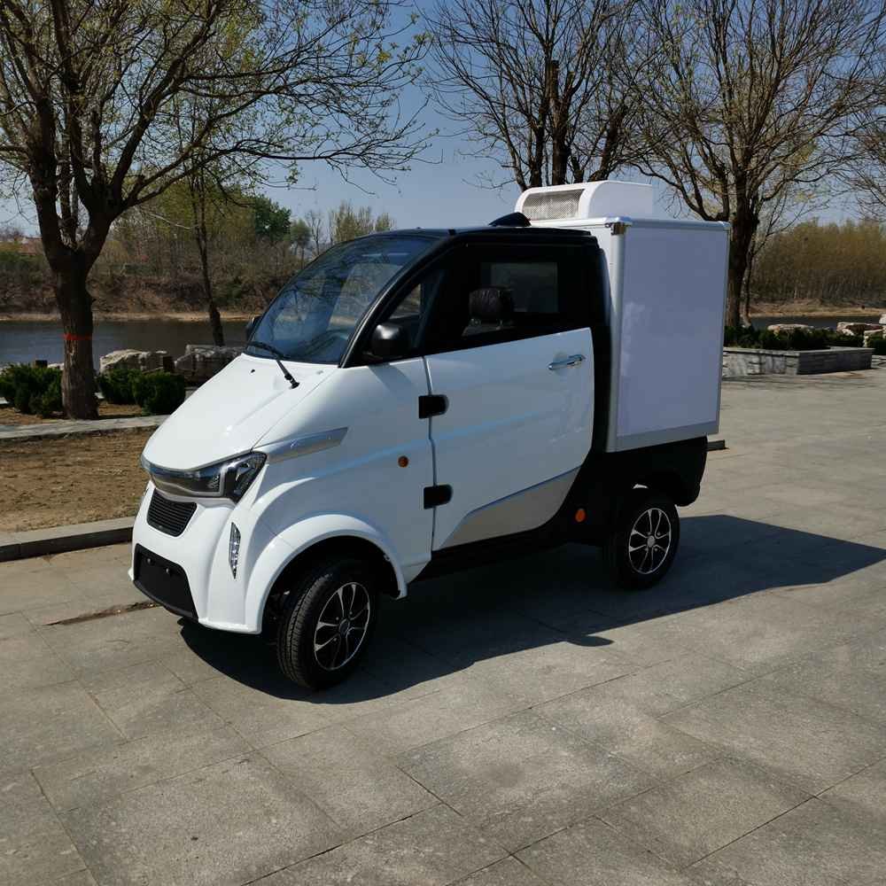 electric cars to come wholesale price