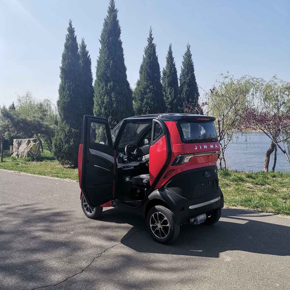 electric car launched wholesale price
