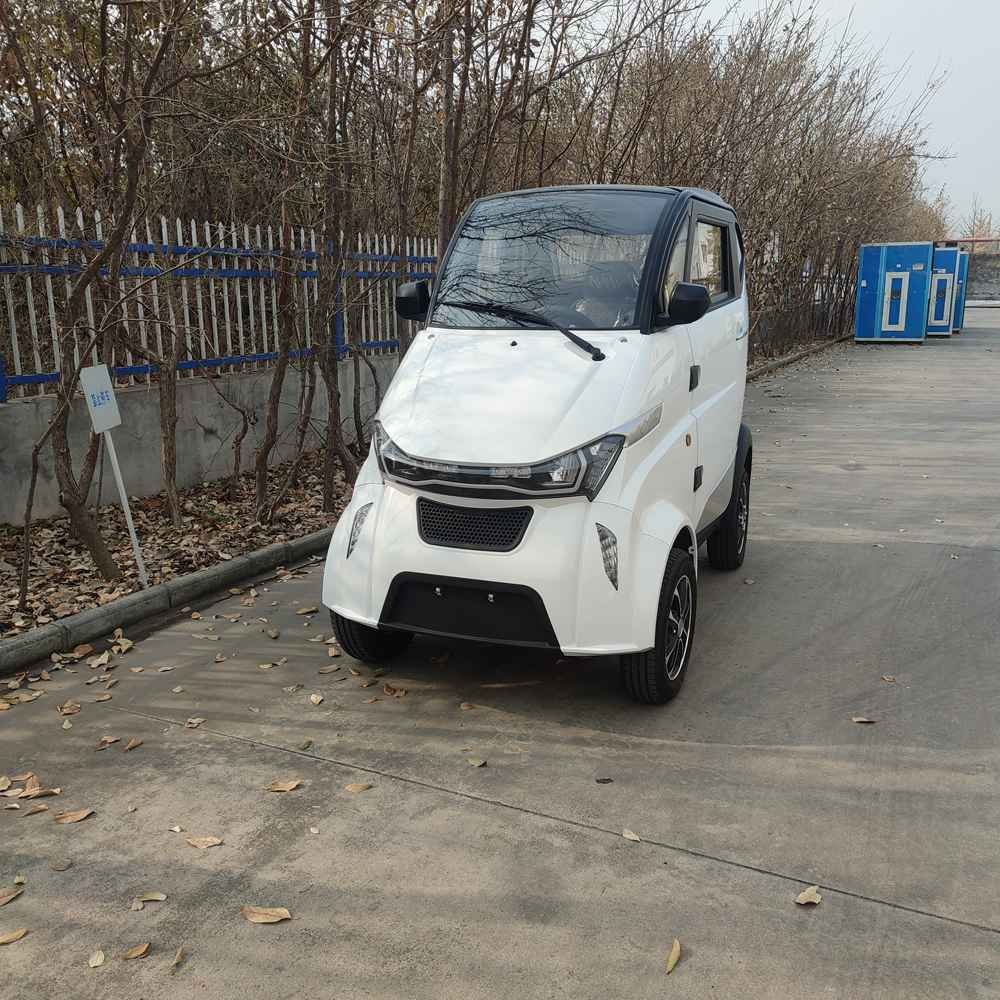 electric cars this year wholesale price