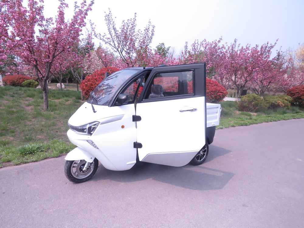 ev vehicles manufacturers wholesale price