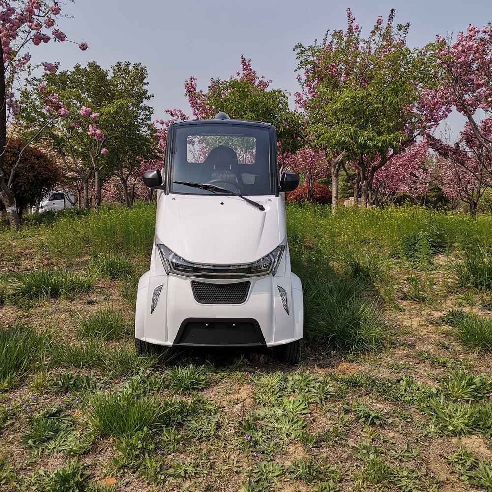 fully electric cars in usa wholesale price