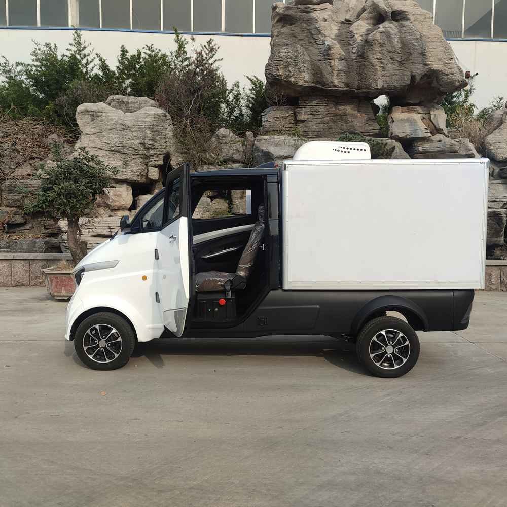 top electric car companies in the world wholesale price