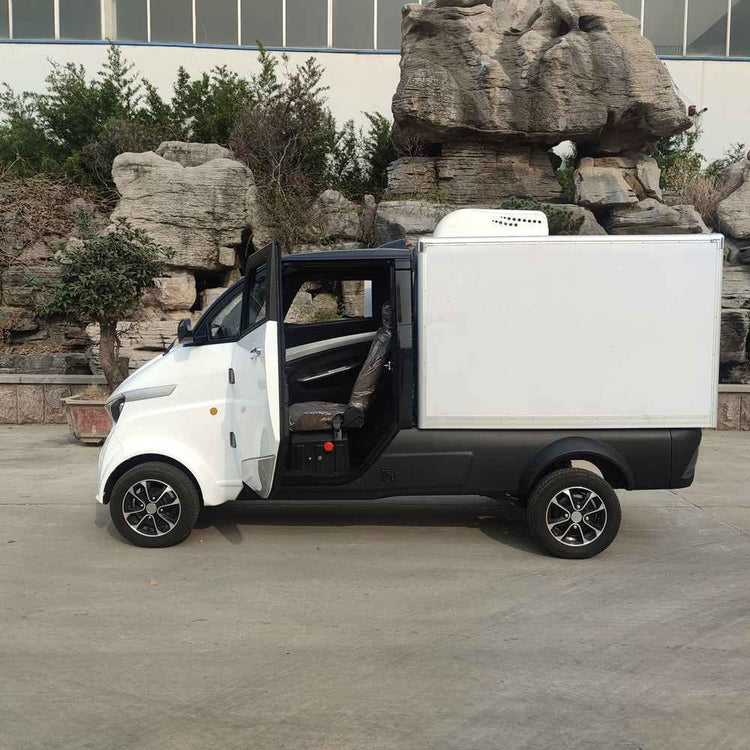 top electric car companies in the world wholesale price