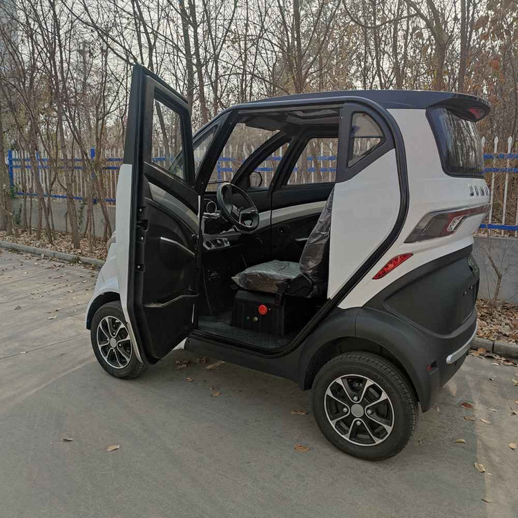 best small ev 2024 wholesale price