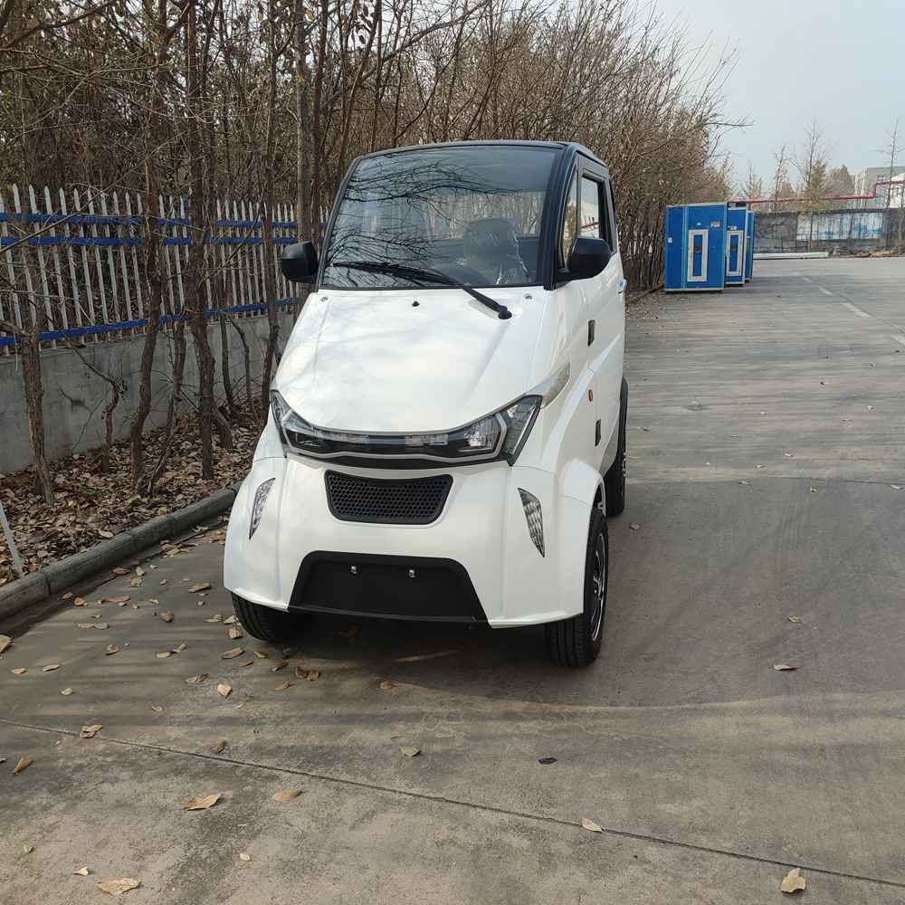 electric vehicle service wholesale price