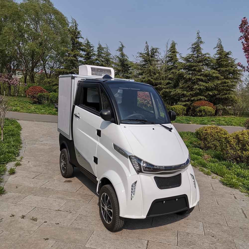 the negatives of electric cars wholesale price