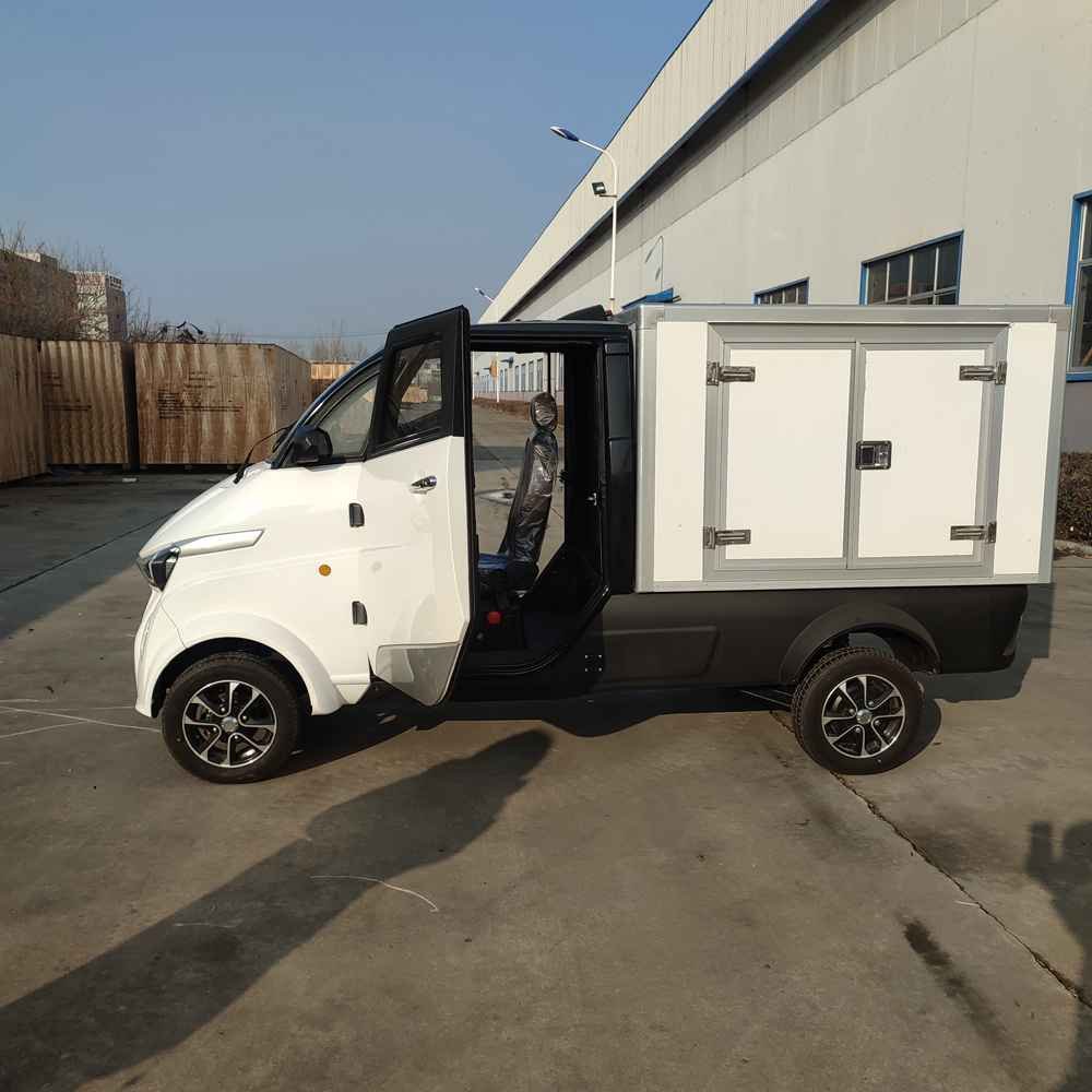 cheap electric car 2024 wholesale price