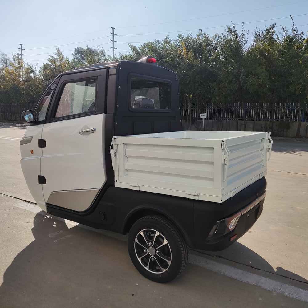 best electric car world wholesale price